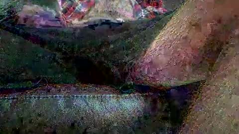 Clothingoptional online show from February 3, 3:06 pm