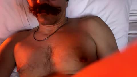 procholt88 online show from February 17, 9:19 am