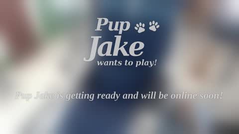 Snapshot of pup_jake chatting on January 5, 12:53 pm Pup Jake wants to play online show from January 5, 12:53 pm
