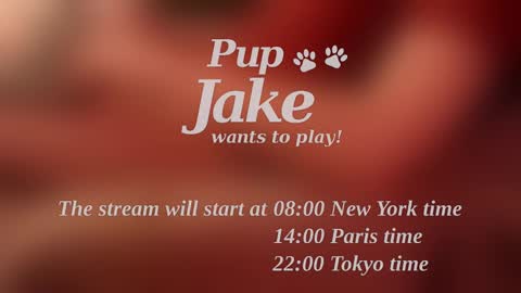 Snapshot of pup_jake chatting on December 25, 12:05 pm Pup Jake wants to play online show from December 25, 12:05 pm