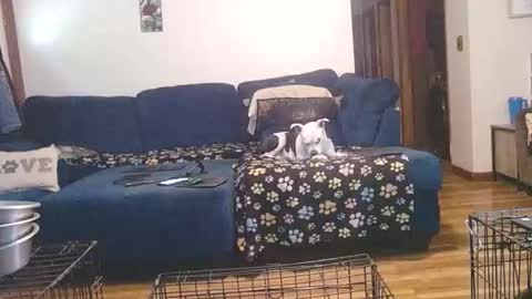 Snapshot of pussy_licker0127 chatting on October 1, 5:17 pm Mark online show from October 1, 5:17 pm