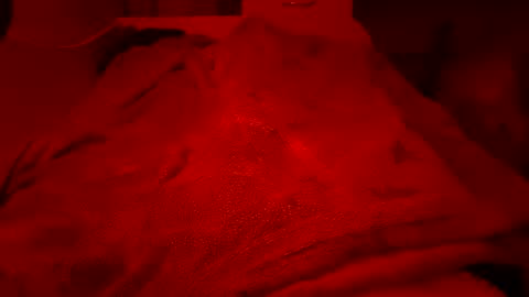 Pussylicker online show from August 2, 2:48 pm