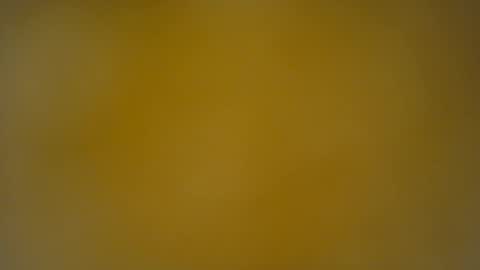 quinnxx online show from April 20, 5:43 am