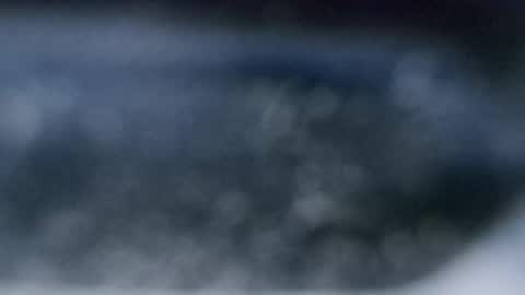 Dmitry online show from March 15, 2:30 am