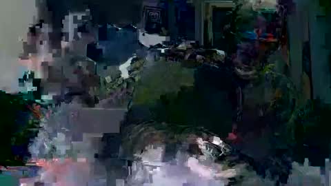 Raccoon68 online show from December 21, 8:39 pm