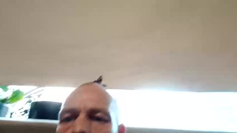 Bigthickdickinvic online show from September 12, 6:02 am