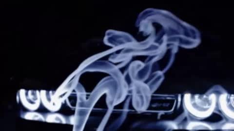 rah_8151 online show from March 3, 11:12 pm