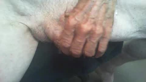 rattcatt online show from September 28, 2:15 pm