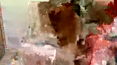 raulgiraldo987 online show from February 6, 12:29 am