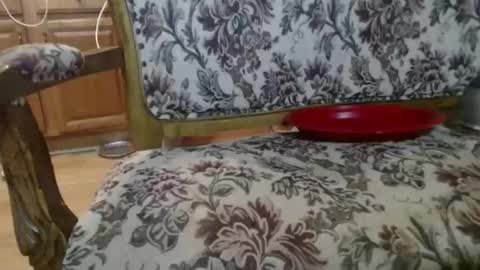 Ray online show from February 1, 5:50 am