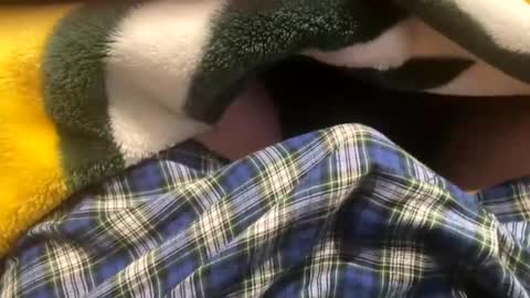 realbigload77 online show from October 22, 12:31 pm