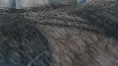 realrubpirate online show from January 14, 9:25 am