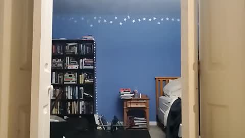 rebelstarlight online show from February 6, 8:22 am