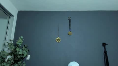 twitter REECET26 instagram RECCETAYLOR online show from February 3, 2:53 am