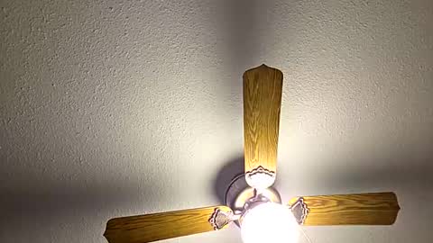 red24devils online show from October 26, 5:48 pm