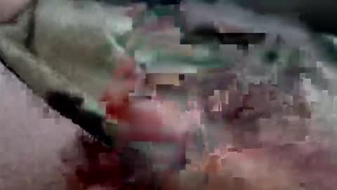 reggie007007 online show from March 27, 11:55 am