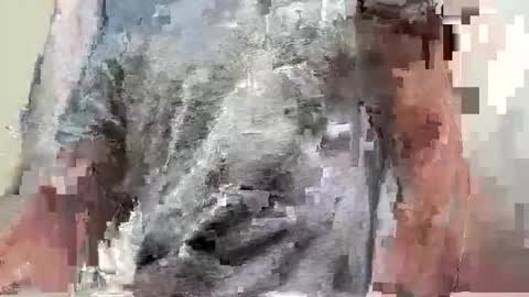 reharted online show from April 26, 5:49 am