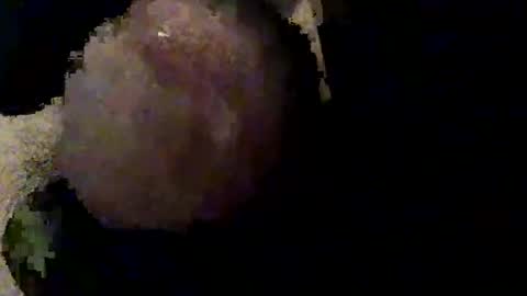 ricard333 online show from November 1, 6:12 pm