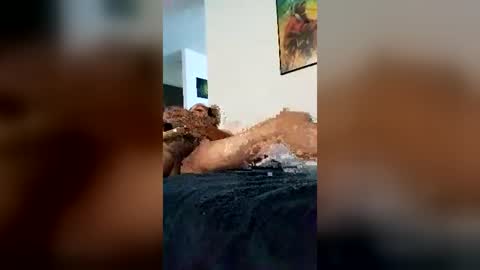 richarddelacruz294 online show from August 2, 12:43 am