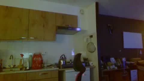 rikkerd55 online show from January 5, 5:27 pm