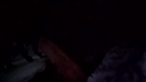 riseagainstt online show from September 15, 6:04 am