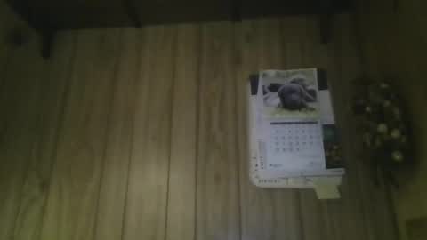 roses2u1958 online show from March 19, 5:16 pm