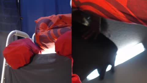 Snapshot of ryushi009 chatting on February 24, 5:11 am Ryushi009 online show from February 24, 5:11 am