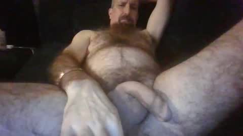 GINO online show from November 14, 11:22 am