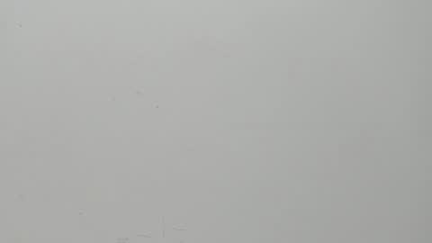 SALVATORE online show from February 6, 11:10 am