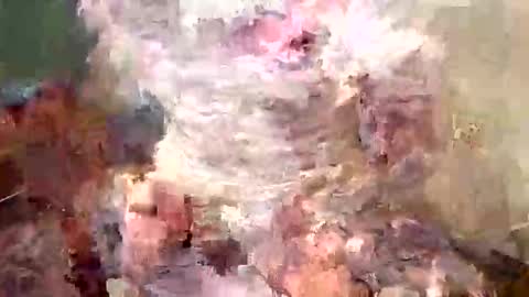 samboiamtho online show from November 1, 1:09 am