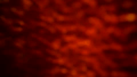 samueltal online show from November 16, 9:28 pm