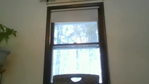 scottpbi52 online show from February 20, 1:30 pm