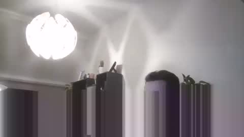 sebix9206 online show from February 22, 8:43 pm