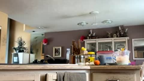 sex_5lave online show from February 17, 2:27 pm