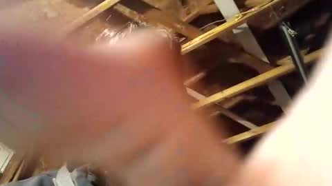    RICHY    online show from February 25, 9:20 am