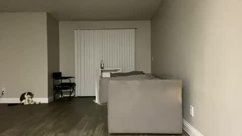 shotaroo online show from February 14, 5:41 am