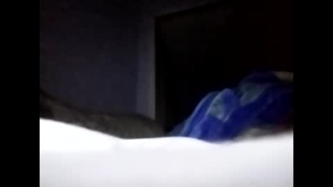 sil15nissan online show from March 27, 2:40 pm