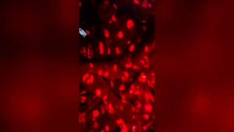 slicknick1988 online show from May 27, 7:38 am