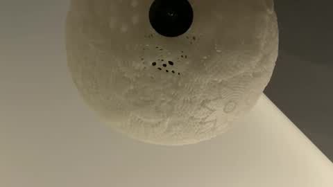 Snapshot of slimguy03 chatting on January 28, 3:25 am slimguy03 online show from January 28, 3:25 am