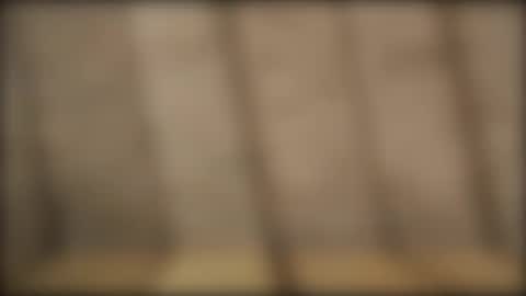 slvbcn75 online show from December 28, 5:46 pm