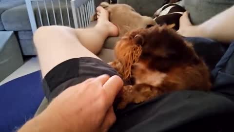 smokynight online show from September 21, 9:15 pm