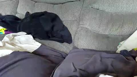 smurf720 online show from October 15, 1:08 pm