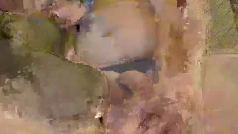 sobadsogood34 online show from November 9, 8:29 am