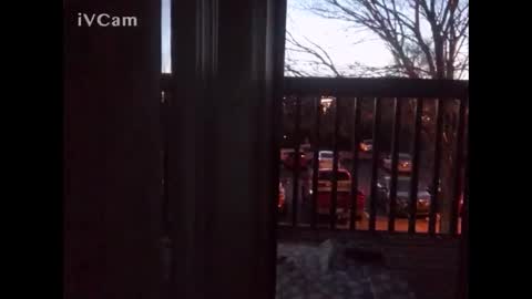 honoko0089 online show from November 27, 11:47 am