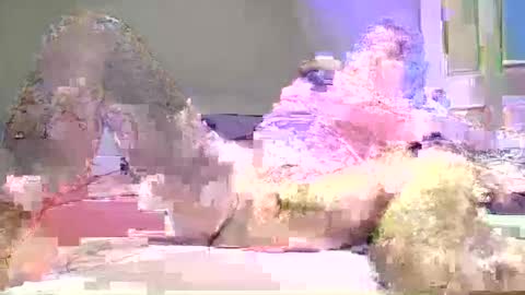 jeff online show from February 15, 11:49 pm