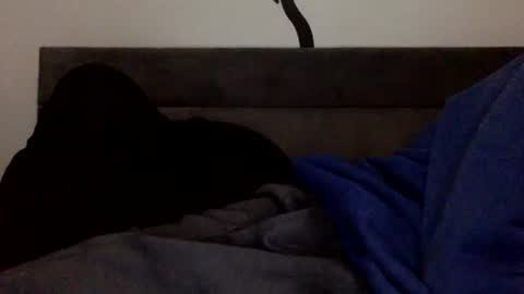 Twitter Toxiceli2 online show from February 3, 6:51 am