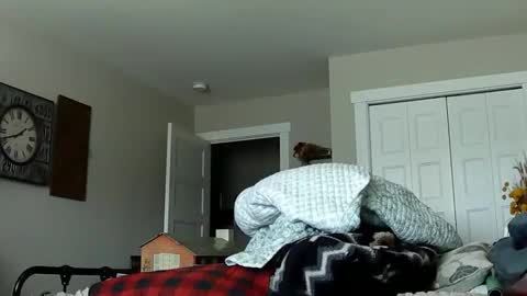 sportfish online show from February 21, 10:33 pm