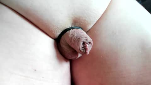 MicroClit online show from May 5, 11:45 am