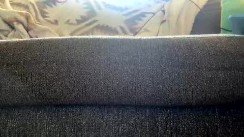 starr3095 online show from November 6, 2:42 pm