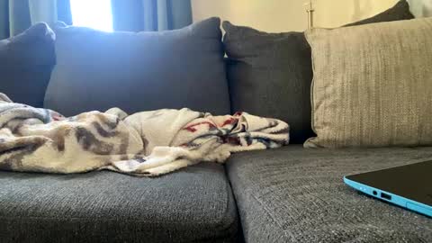 starr3095 online show from February 27, 3:05 pm